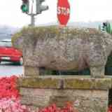 Click para ampliar. Verraco Pontedeume 2